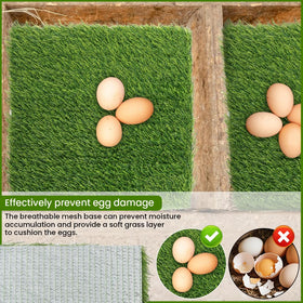 Back drainage holes help water and urine drain away for a drier nest