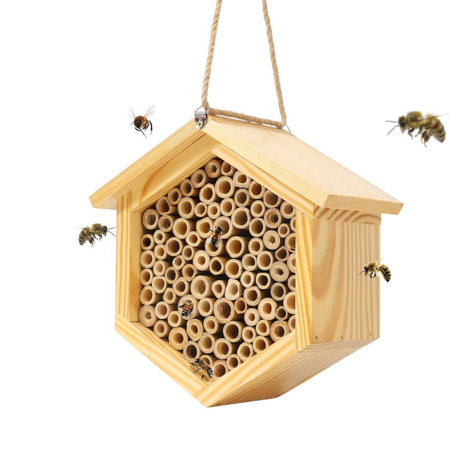 hewewor Mason Bee House hexagon habitat in a garden setting showing the overall design and size