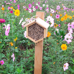 hewewor Mason Bee House hanging rope for versatile installation