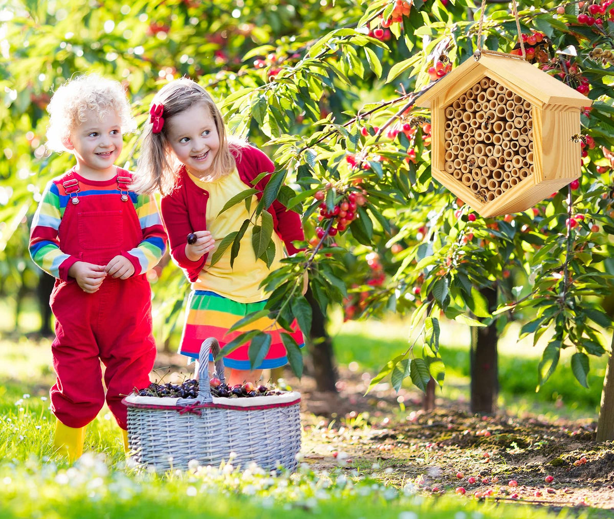 hewewor Mason Bee House installed outdoors among plants and greenery