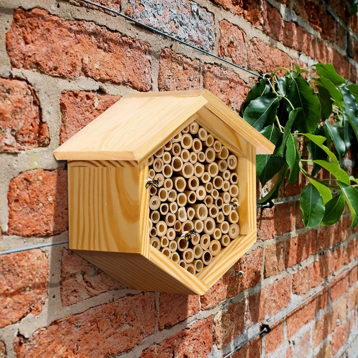 hewewor Mason Bee House pine wood construction highlighting sturdy material
