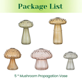 Hewory amber mushroom propagation jar as a stylish gift idea for plant lovers