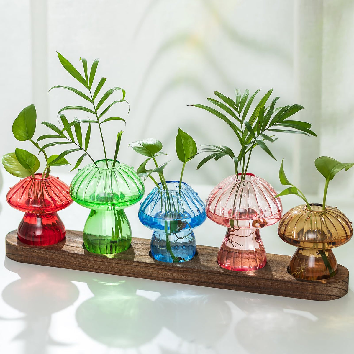 Hewory glass mushroom propagation vases set of 5 on a wooden tray for indoor plant display.