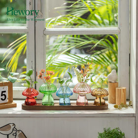 Hewory glass mushroom vase close-up with clear walls for monitoring root growth.