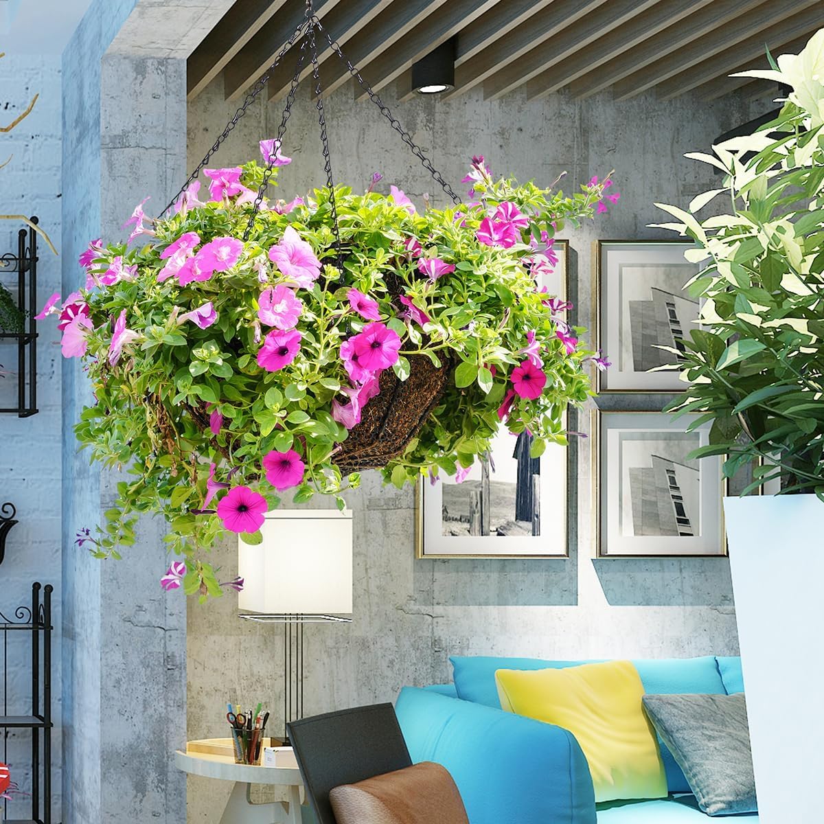 Heybe plant lantern hanger display versatile indoor decor