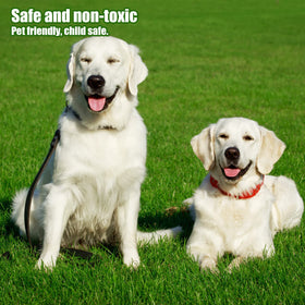 Heyroll dog friendly play area showing pet safe turf.