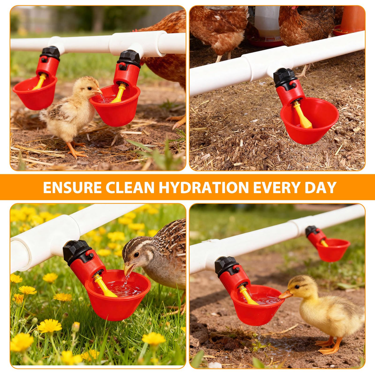 HFarming easy installation setup for poultry housing