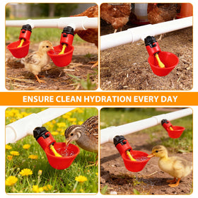 HFarming easy installation setup for poultry housing