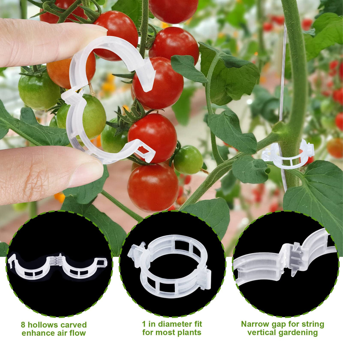 HFXXAD 33.3ft twine for tying and training tomato plants.