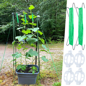 HFXXAD plant support clip hole 1.2 inch secures stems reliably