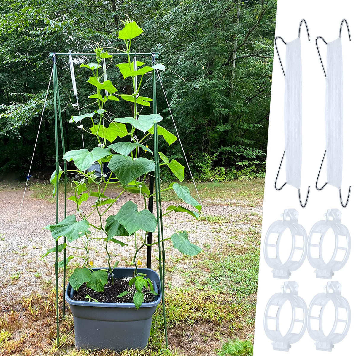 HFXXAD garden clip with 1.2-inch hole secures vines and supports beans.