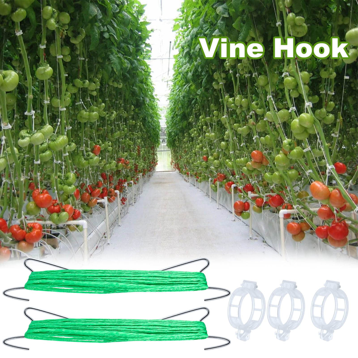 HFXXAD garden setup in use showing organized vines and sun exposure