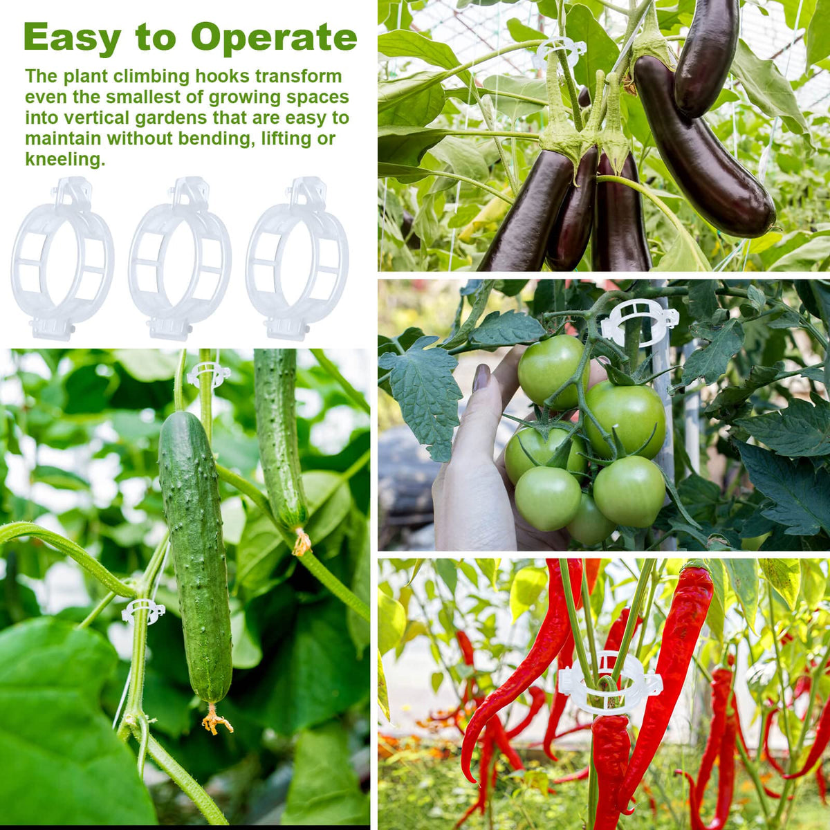 HFXXAD multi-use plant support for reducing entanglement and boosting airflow.