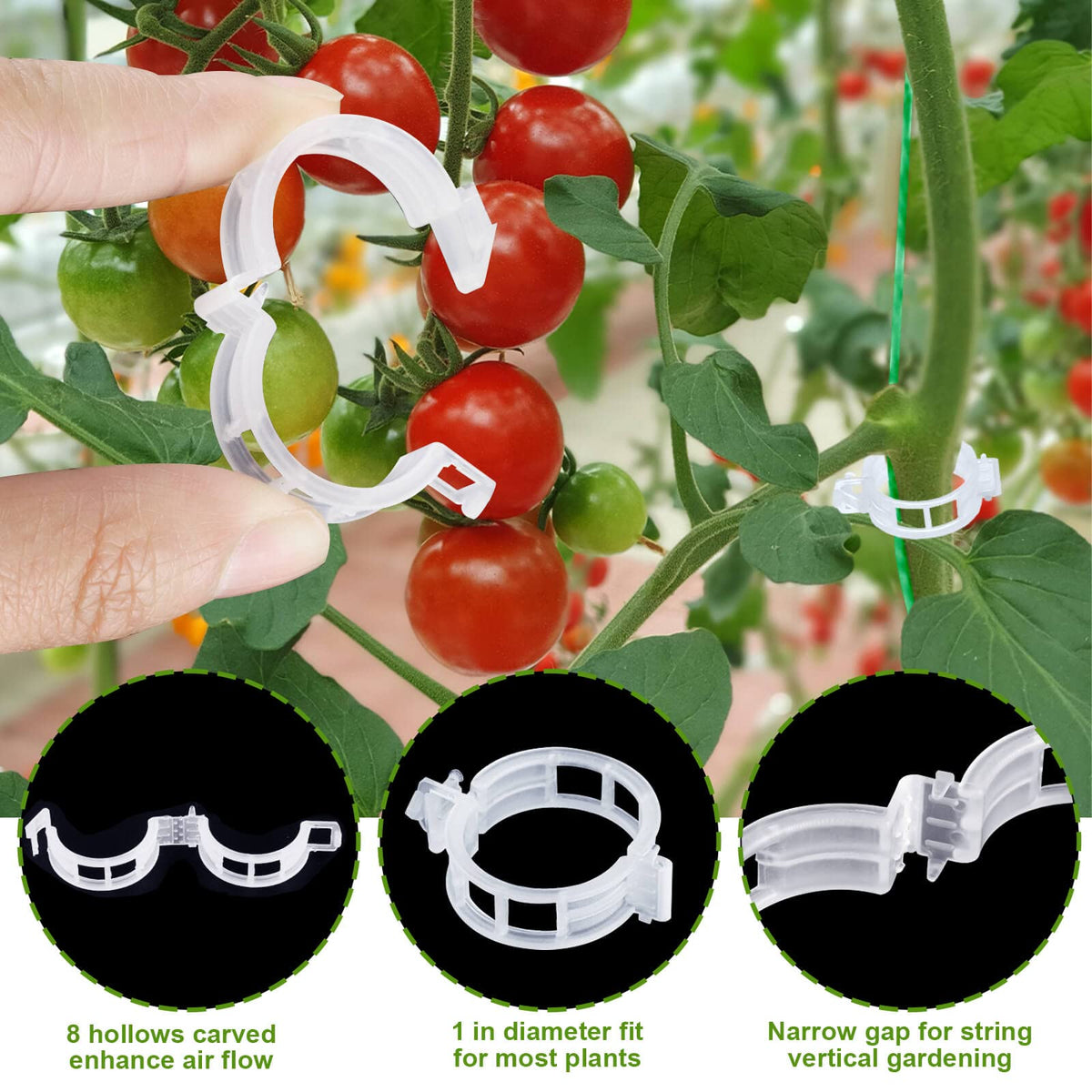 HFXXAD plant support clips fixing vines along a trellis