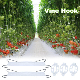 HFXXAD tomato stability system keeps fruits safe during windy days.