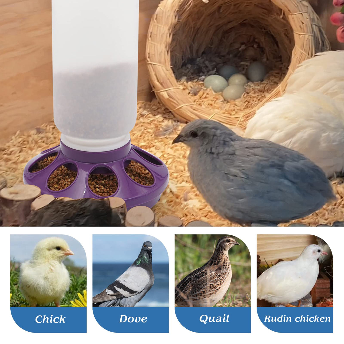 HHNIULI chick waterer inside-shot, anti-waste setup supports clean brooding.
