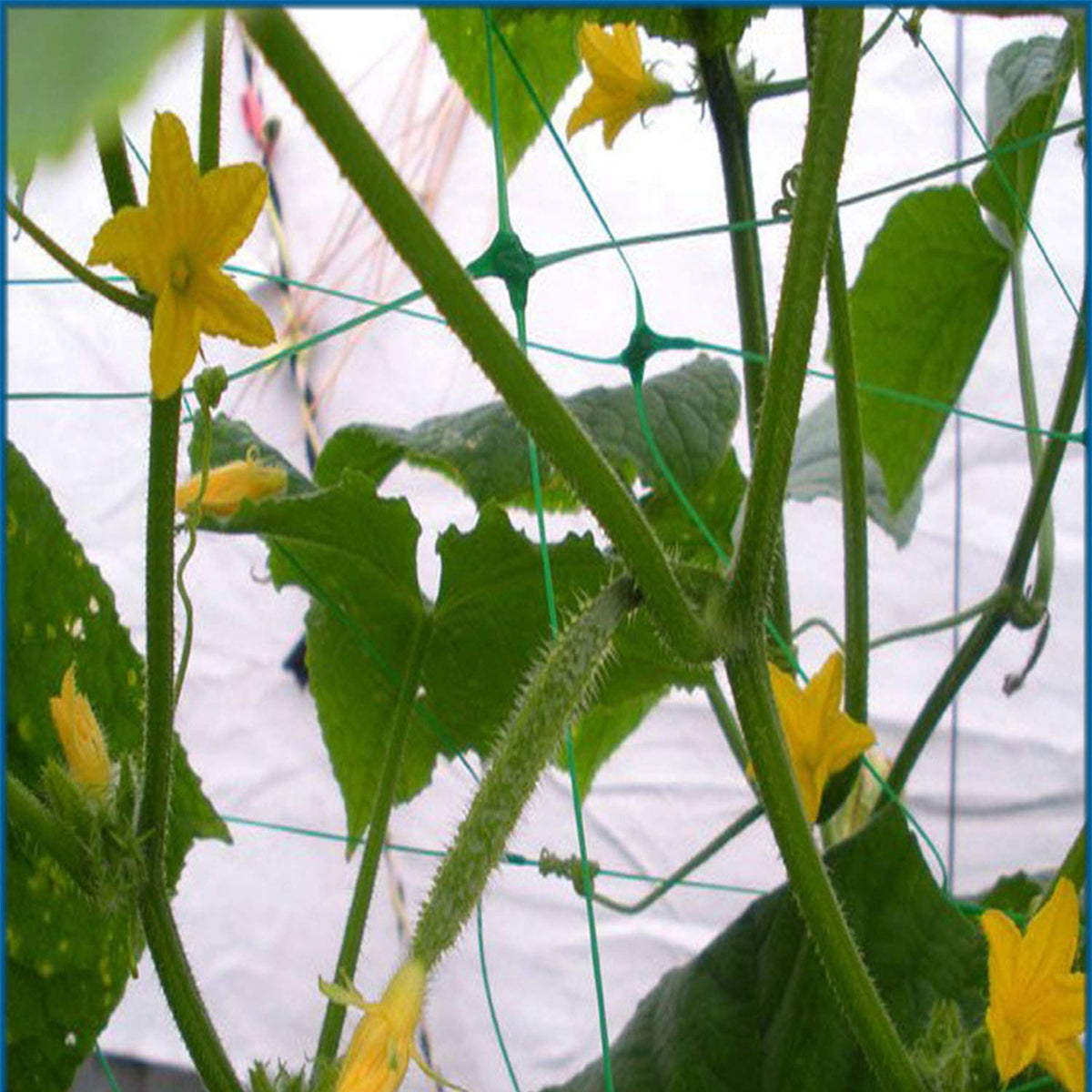 HHTHH Cut-to-fit trellis netting adapts to any bed size with ease.