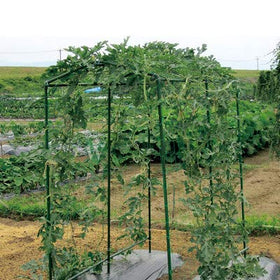 HHTHH Durable garden netting withstands heat and cold while helping plants grow vertically.