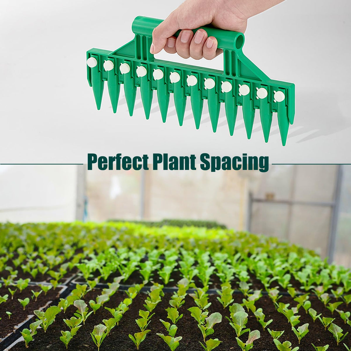 Green seed dibber with detachable pins for easy setup.