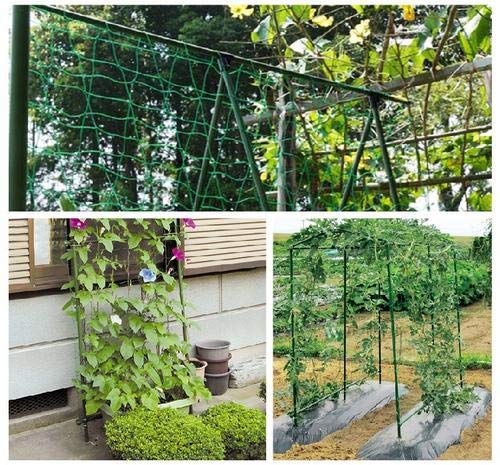 HHTHH Vegetable climbing support for tomatoes, cucumbers, and beans improves airflow.