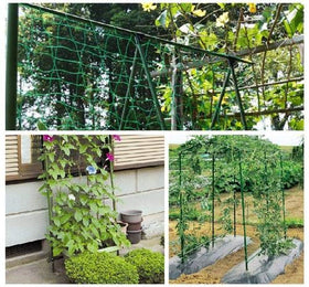 HHTHH Vegetable climbing support for tomatoes, cucumbers, and beans improves airflow.