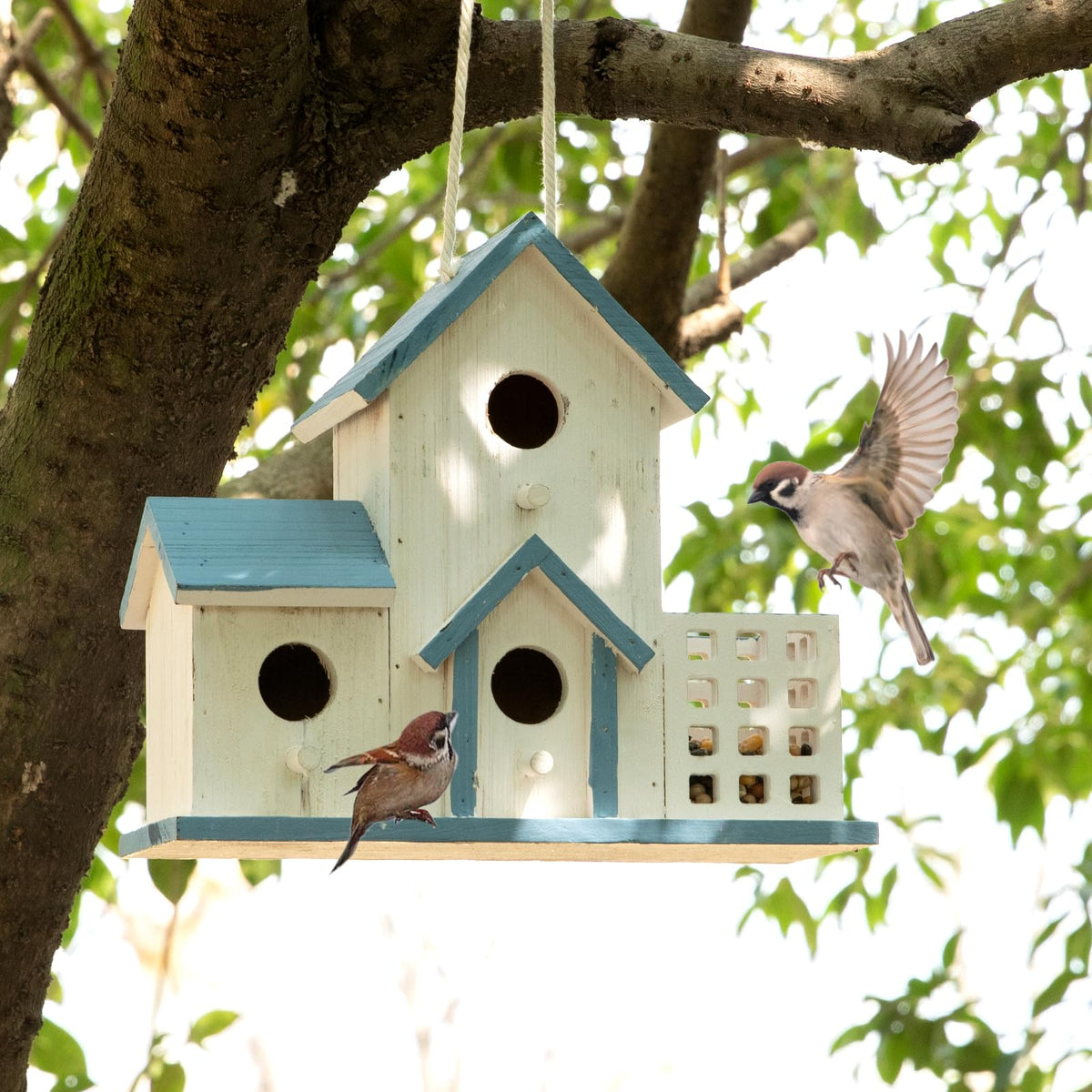 HHWODB birdhouse with 3-hole outdoor design attracts tiny songbirds to your garden