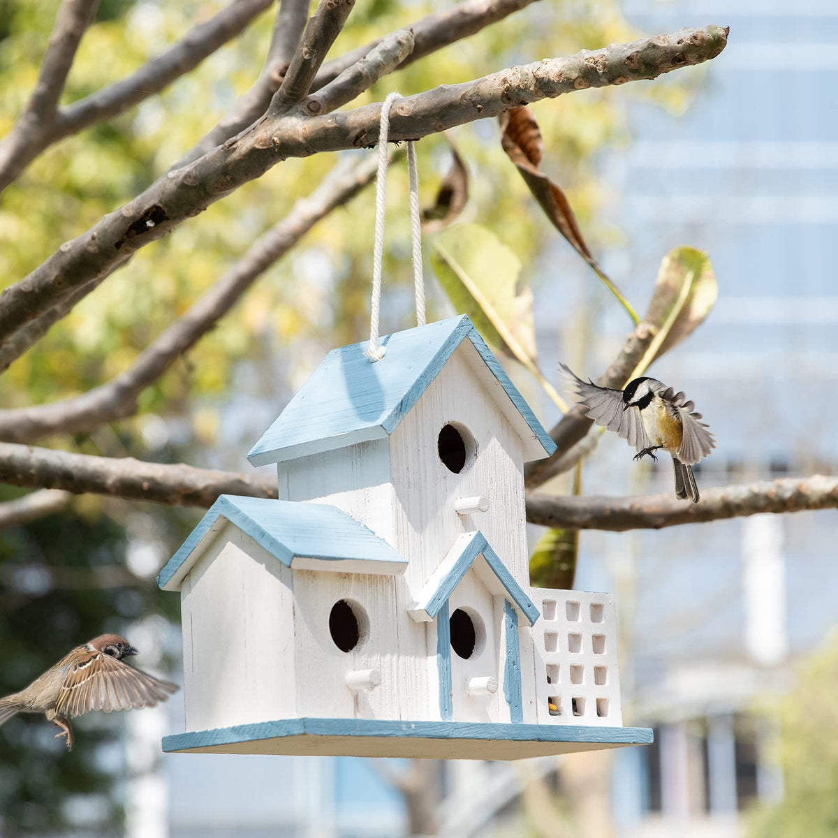 HHWODB colorful design adds decorative charm while inviting birds to visit