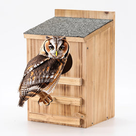 HHWODB Screech Owl House in cedar wood for durable outdoor use.