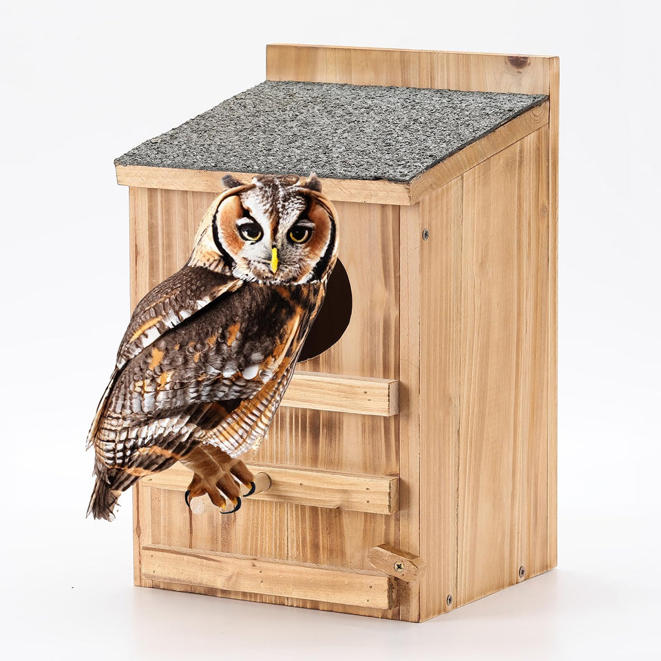 HHWODB Screech Owl House in cedar wood for durable outdoor use.