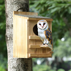 HHWODB Wide bottom design offers ample space for small owls.