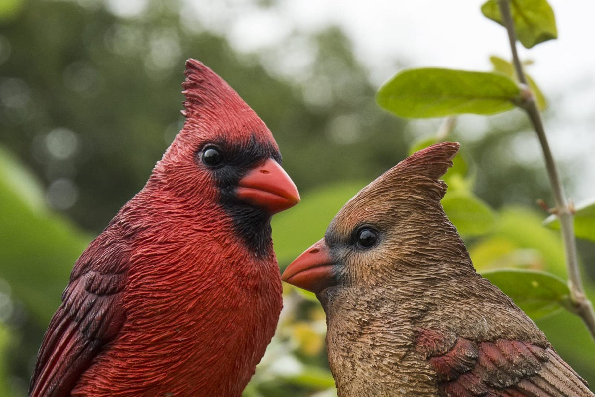 HI-LINE polyresin cardinal on stump statue withstands weather while brightening yards
