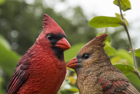 HI-LINE polyresin cardinal on stump statue withstands weather while brightening yards