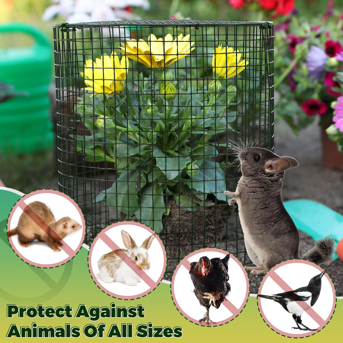 Hiboom round top cover 4-pack protects plants from large animals while allowing airflow