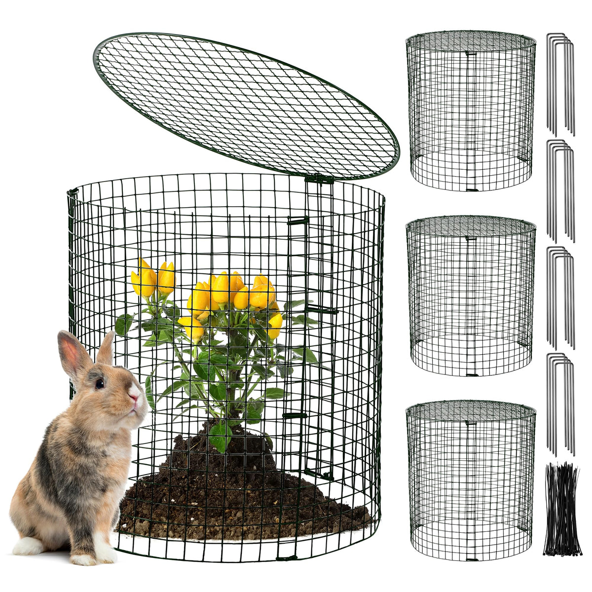 Hiboom garden protector square metal mesh 12-pack shields seedlings from rabbits while letting sun