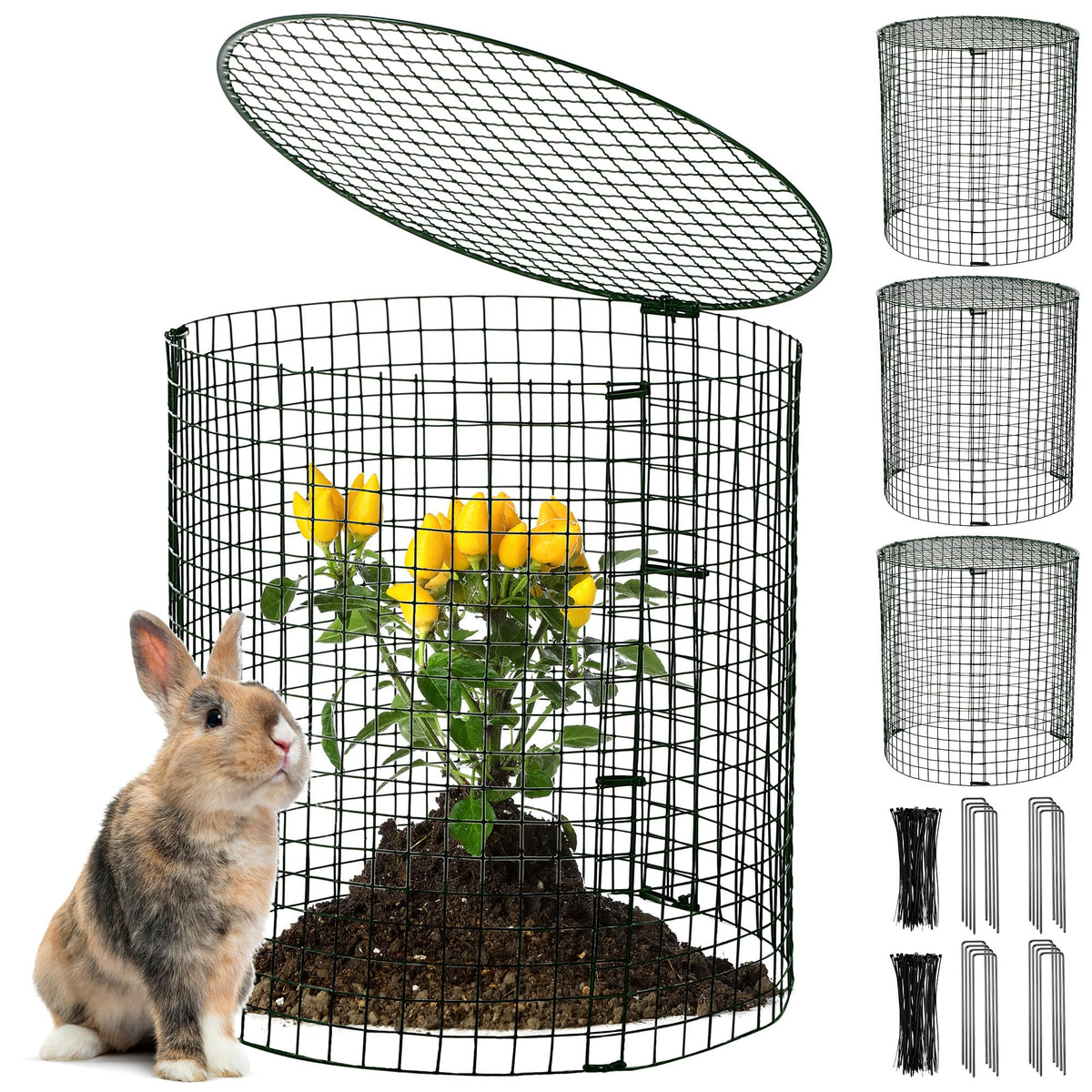 Hiboom garden protector square metal mesh shields seedlings from animals while allowing sunlight.