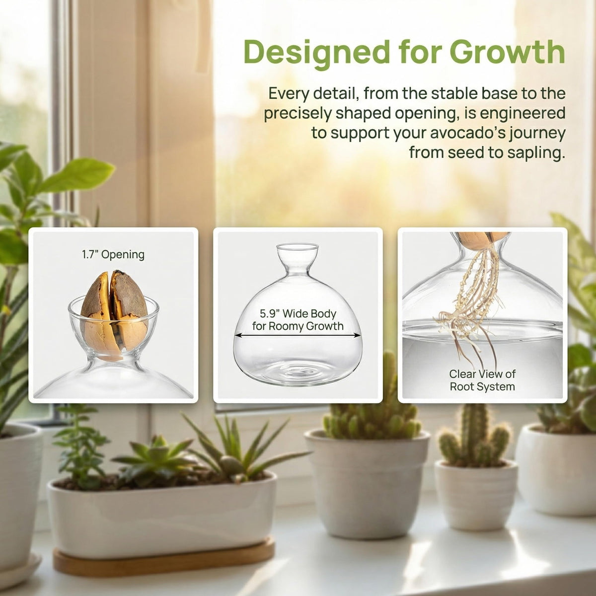 Hiceeden instruction-friendly vase with clear setup steps.