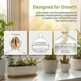 Hiceeden instruction-friendly vase with clear setup steps.