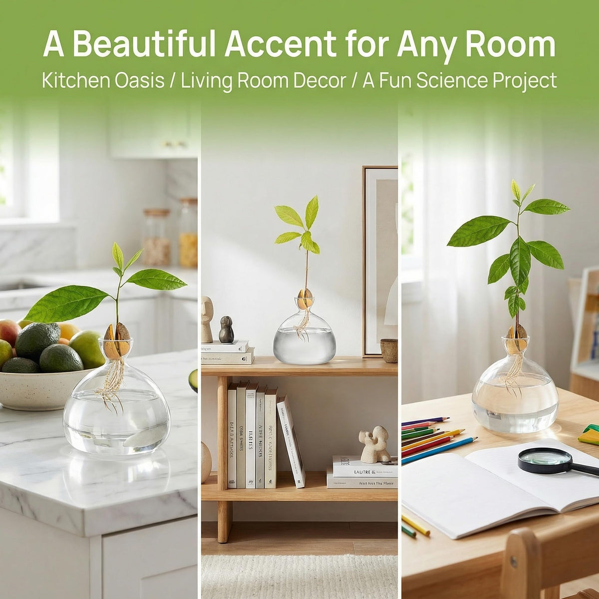 Hiceeden glass material emphasizes durability and safe observation.