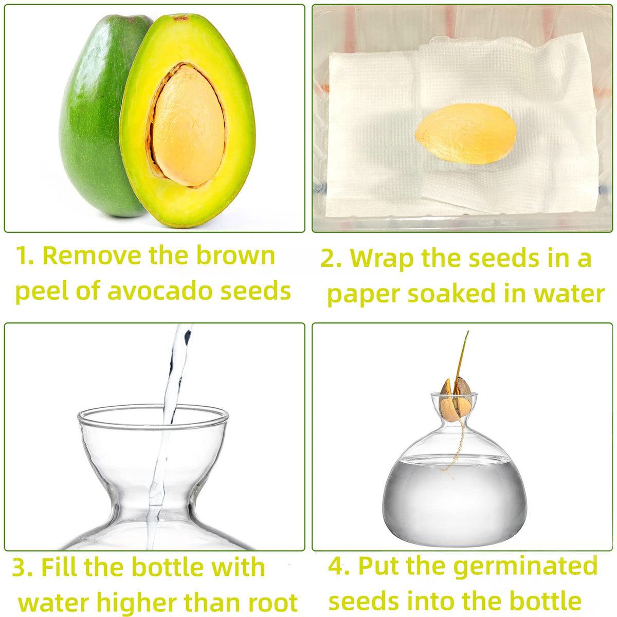 Hiceeden avocado seed vase ornamental glass surface enhances decor.
