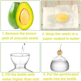 Hiceeden avocado seed vase ornamental glass surface enhances decor.