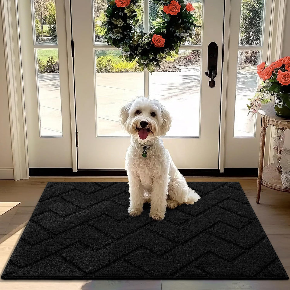 hicorfe front door mat absorbent surface trapping muddy dirt at the entry