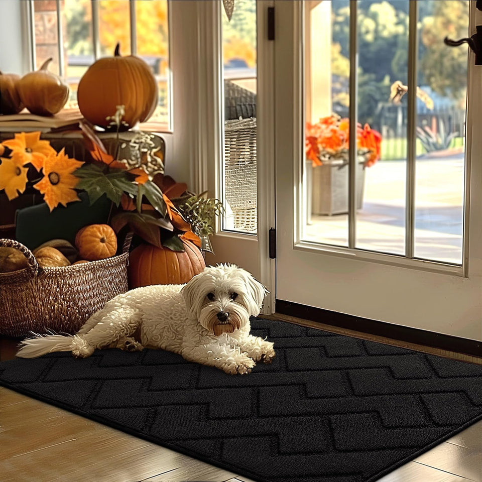 Hicorfe indoor doormat front view; absorbs moisture and traps dirt for a cleaner entry.