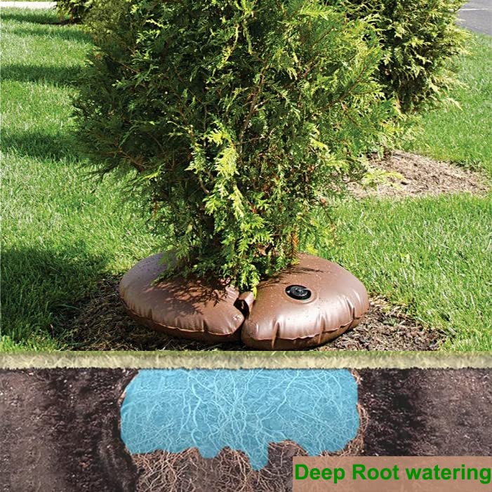 Highlight deep-root watering action nourishes roots with minimal surface runoff.