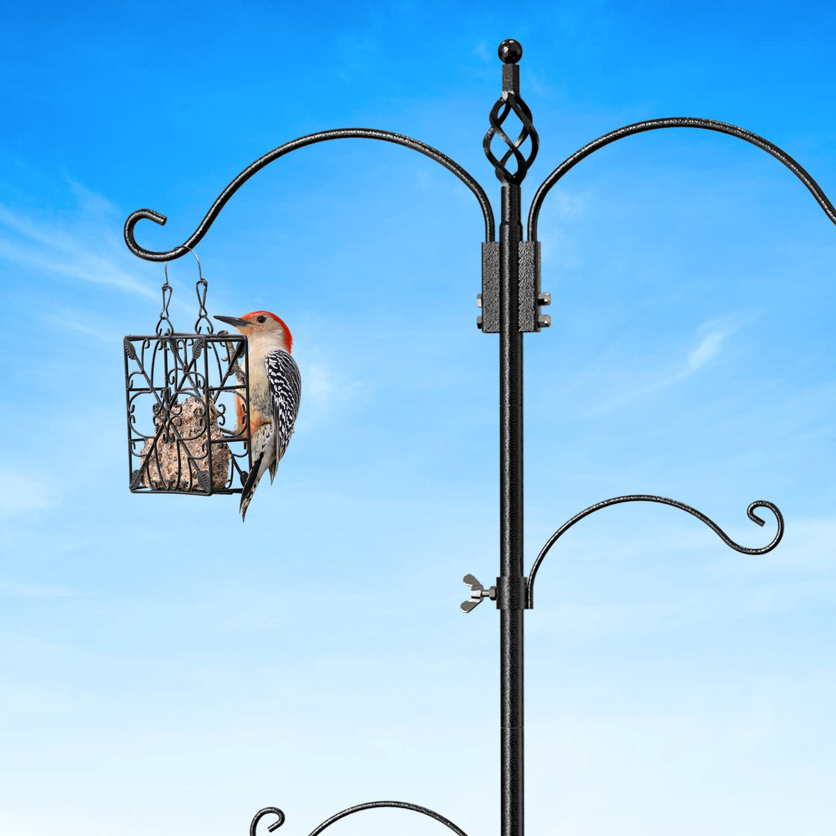 Highpro yard setup invites birds while keeping feeders organized