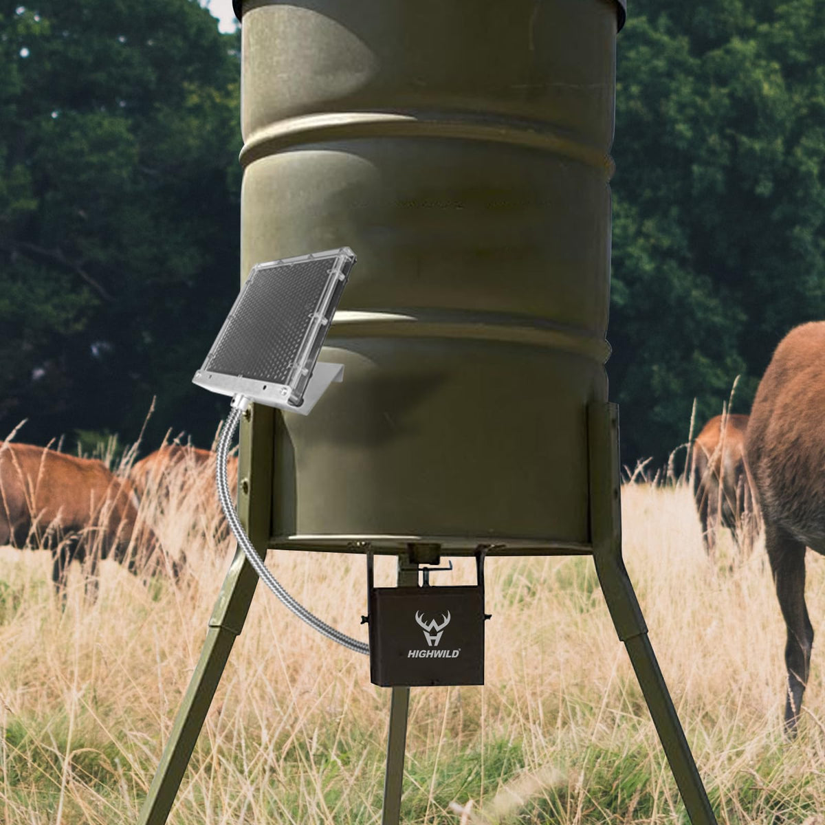 Highwild 12V solar panel charger weather-ready design for outdoor use