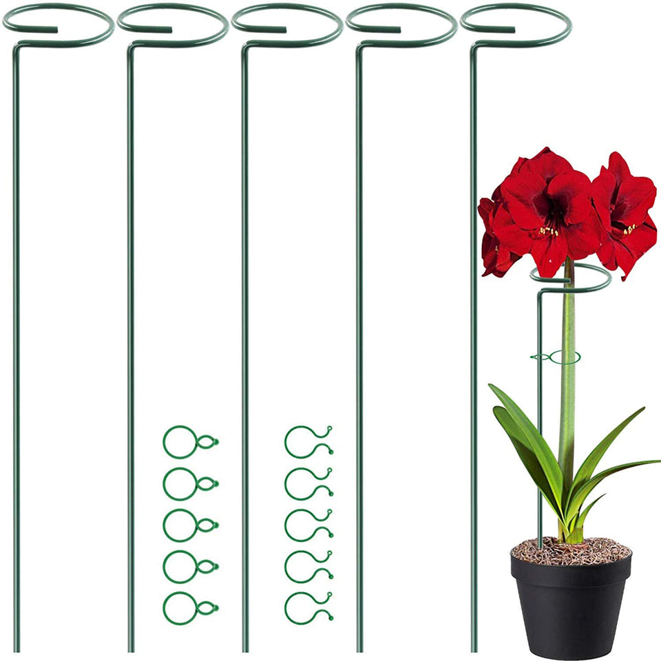 HiGift 17-inch plant stake inserted into soil for stability.