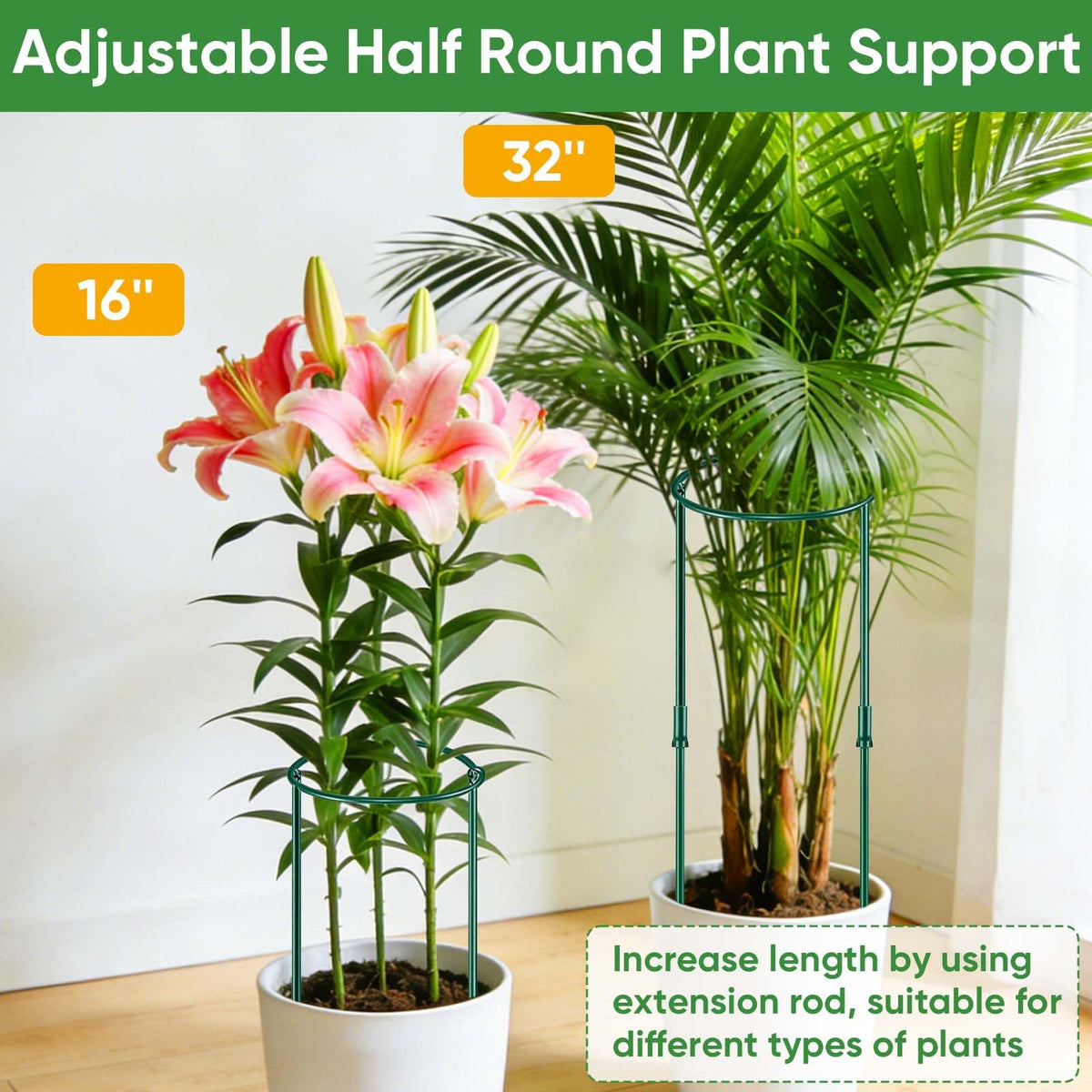 HiGift 32inch-high plant support keeps peonies upright and tidy