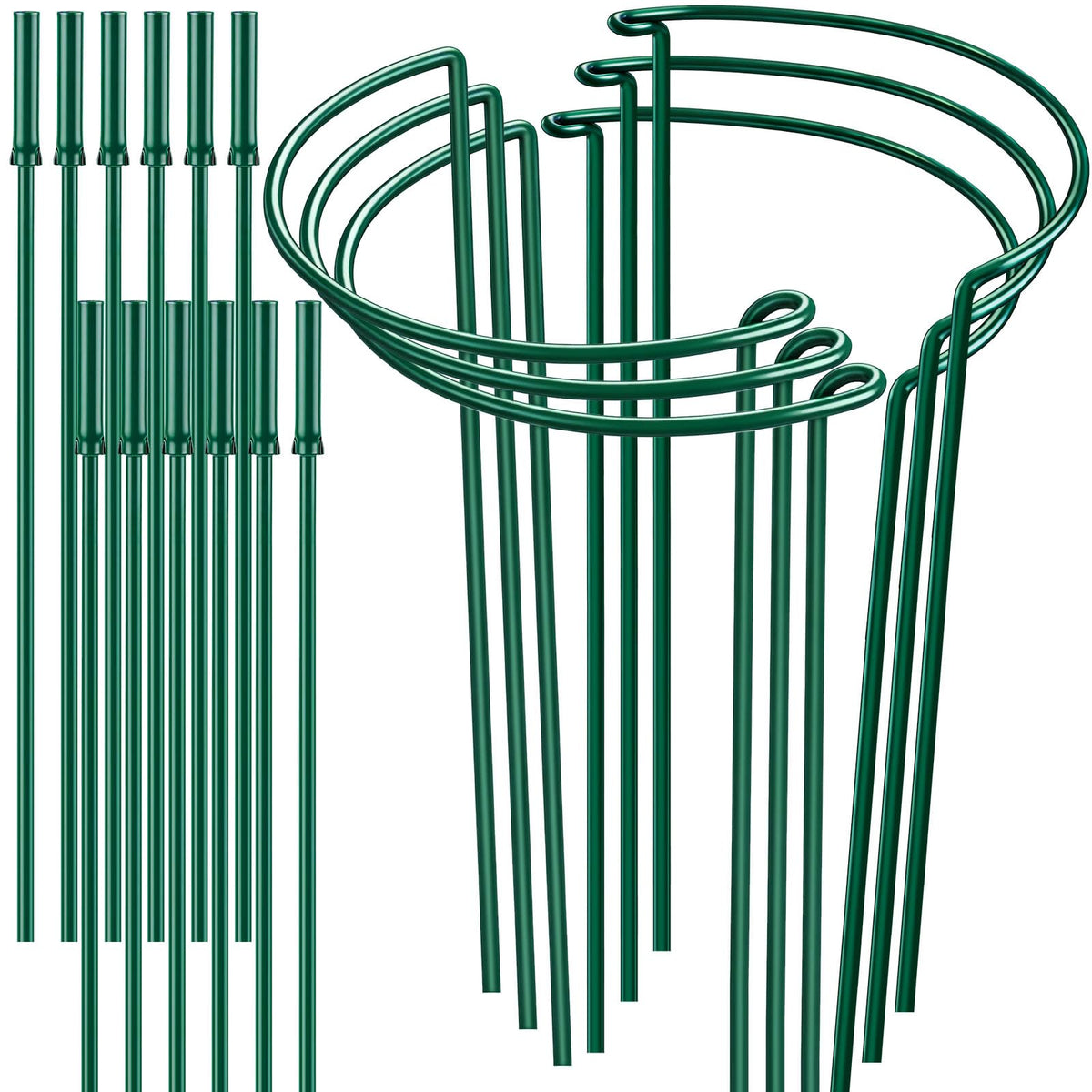HiGift 6-pack half-round stake supports tall peonies in a sunny garden.