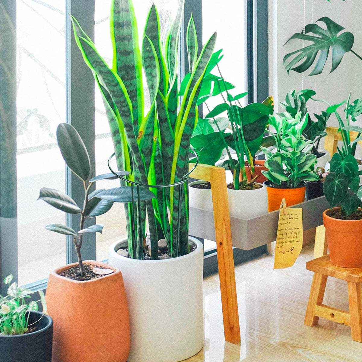 HiGift half-round design makes attaching rings quick and secure around plants.