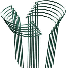 HiGift half-round plant stake, 10in wide by 15.8in high, ideal for tall indoor plants.
